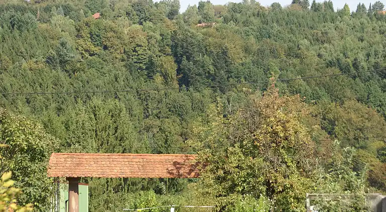 Ferienhaus in Walscheid