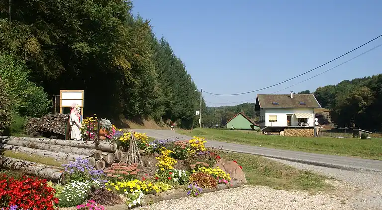 Ferienhaus in Walscheid
