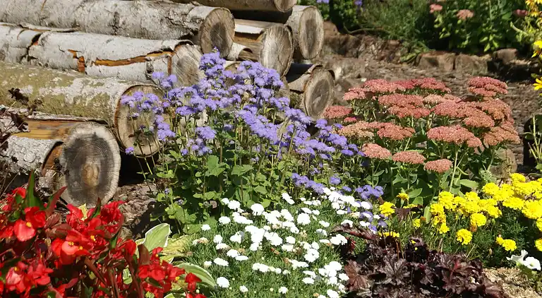 Feriebolig i Walscheid