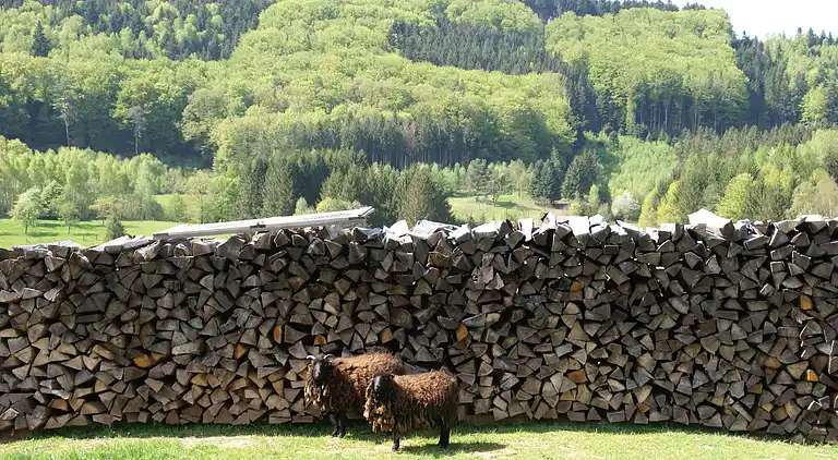 Holiday home in Hommert