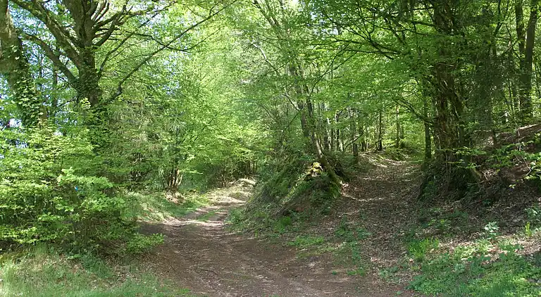Holiday home in Hommert