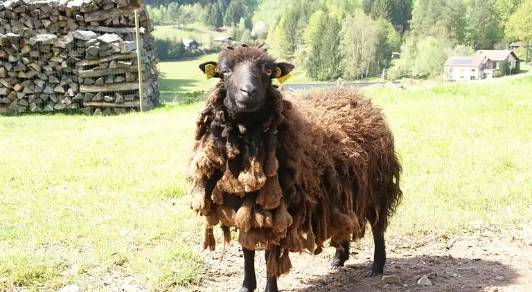 Holiday home in Hommert