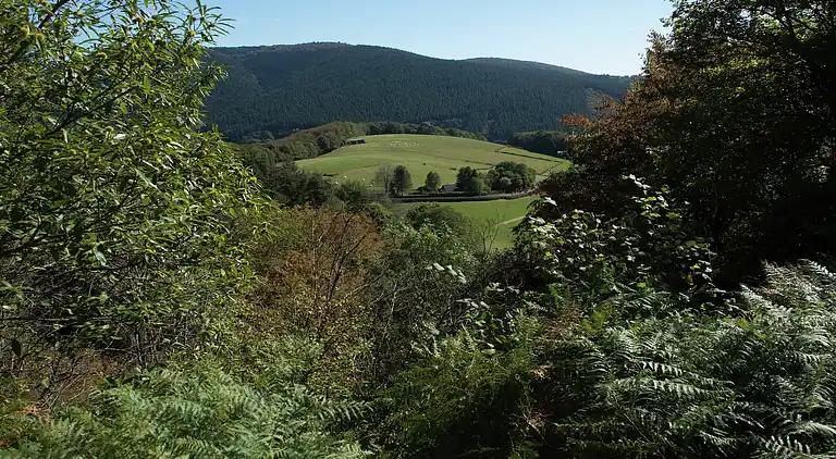 Ferienhaus in Sémelay