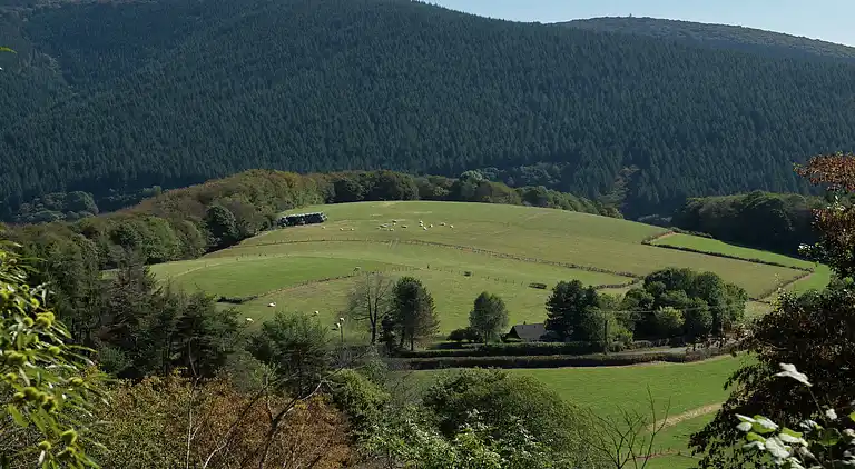 Ferienhaus in Sémelay