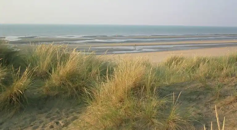 Apartment in Zuydcoote