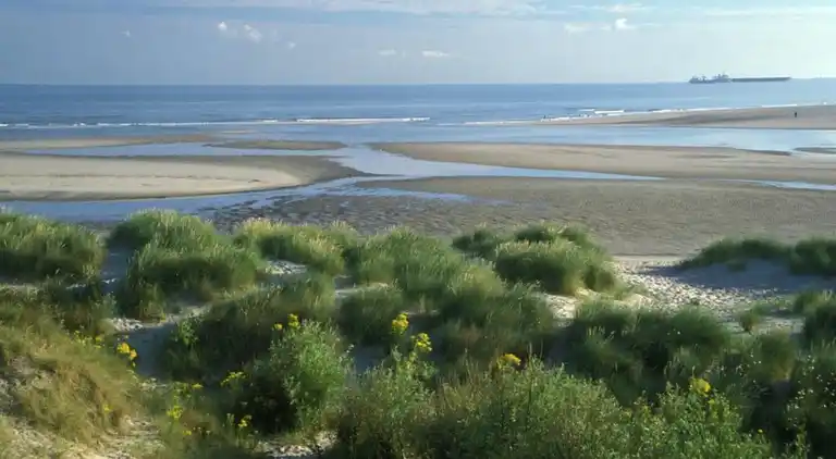 Leilighet i Zuydcoote