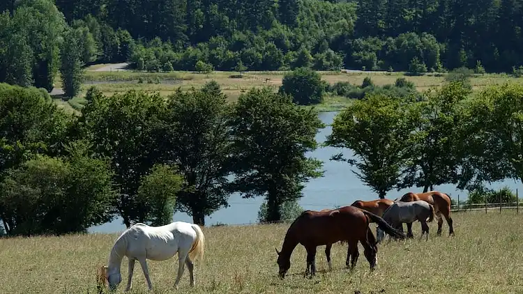 Holiday home in Ohain