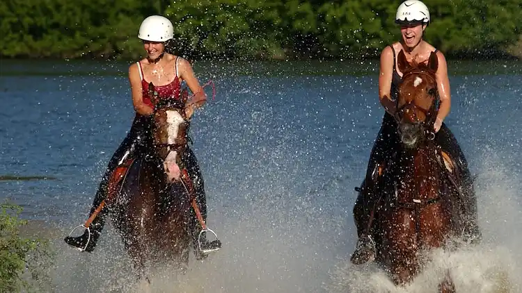 Holiday home in Ohain