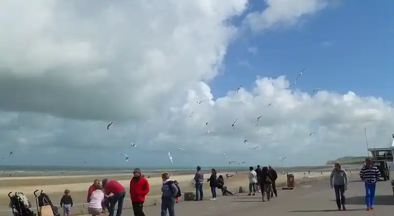 Apartment in Wissant