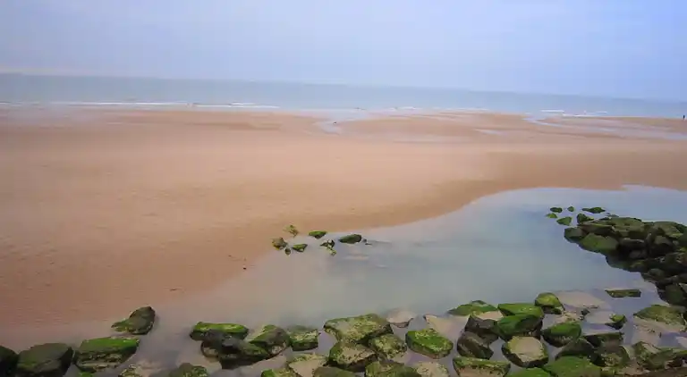 Apartment in Wissant