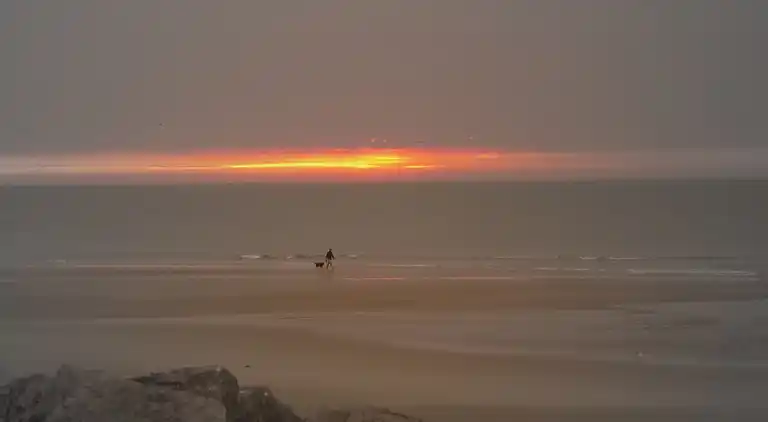 Apartment in Wissant