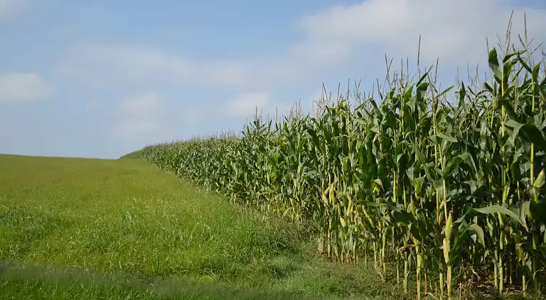 Apartment in Wissant