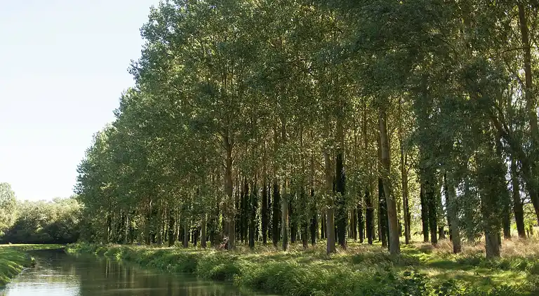 Casa de vacaciones en Machy