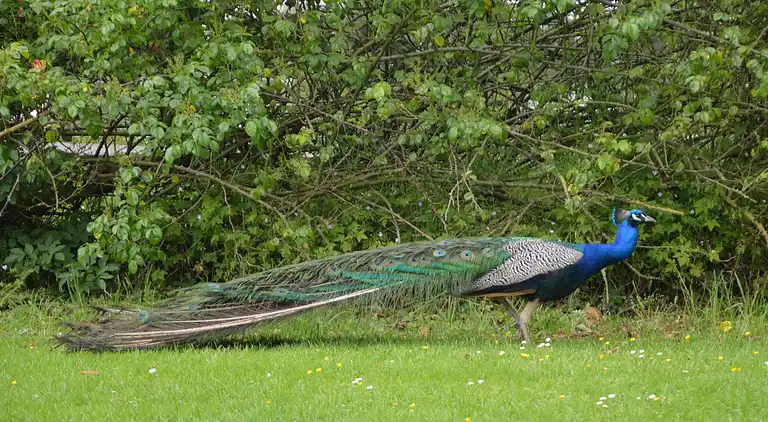 Holiday home in Douriez