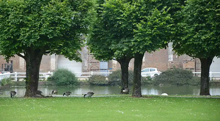 Holiday home in Douriez