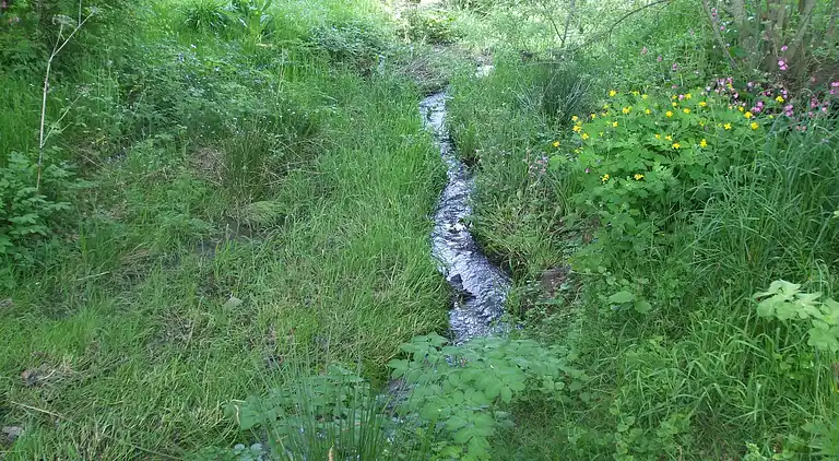 Feriebolig i Pionsat