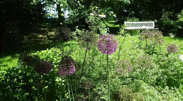 Feriebolig i Pionsat