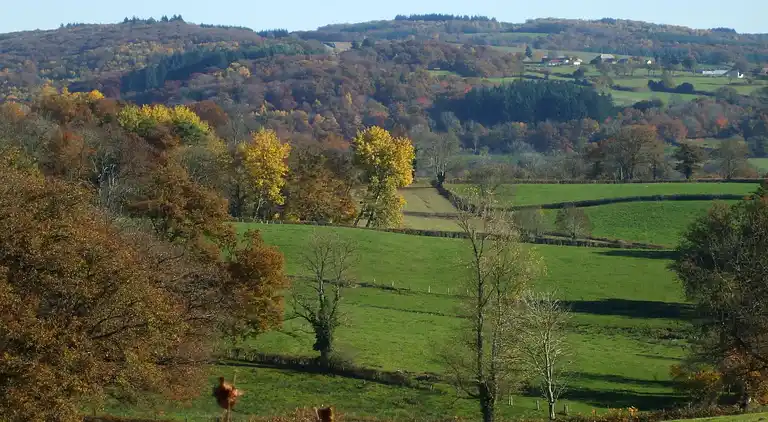 Feriebolig i Pionsat