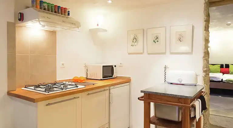 Holiday home in Saint-Laurent-de-Cerdans