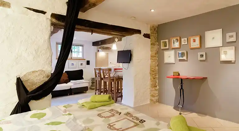 Holiday home in Saint-Laurent-de-Cerdans