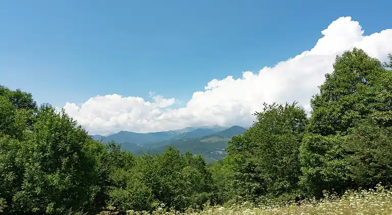 Holiday home in Saint-Laurent-de-Cerdans