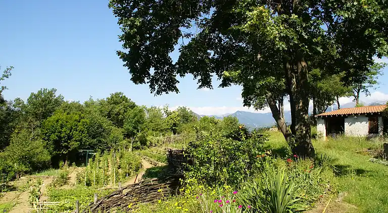 Villa en Saint-Laurent-de-Cerdans