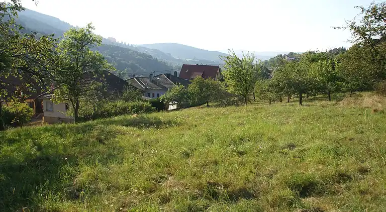 Holiday home in Natzwiller