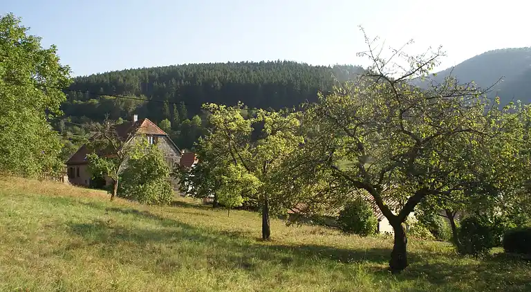 Holiday home in Natzwiller