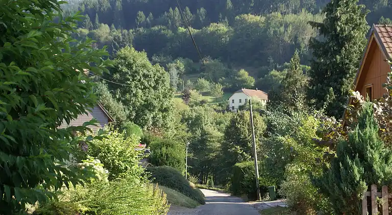 Holiday home in Natzwiller