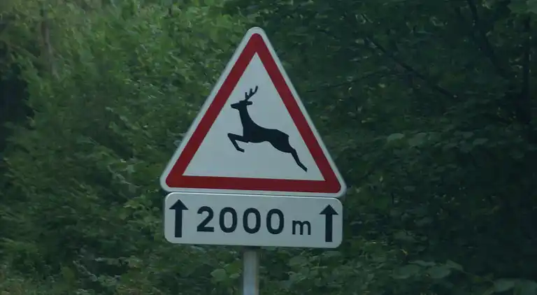 Holiday home in Natzwiller