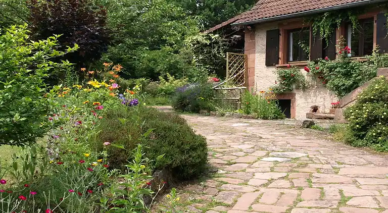 Hytte i Wingen-sur-Moder