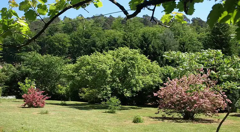 Hytte i Wingen-sur-Moder