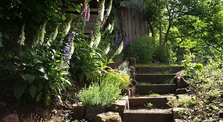 Hytte i Wingen-sur-Moder