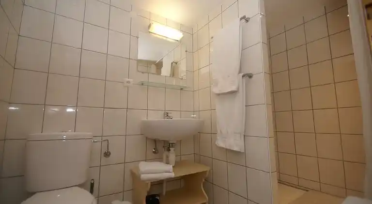 Ferielejlighed i Riquewihr