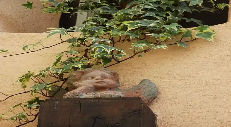 Ferielejlighed i Riquewihr