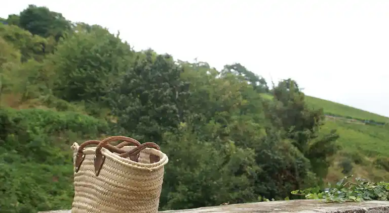 Ferielejlighed i Riquewihr