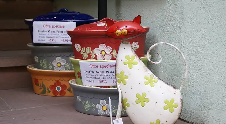 Ferielejlighed i Riquewihr