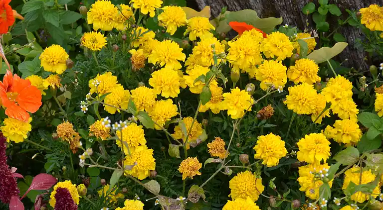 Holiday home in Raddon-et-Chapendu