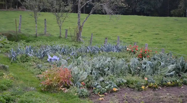 Holiday home in Raddon-et-Chapendu