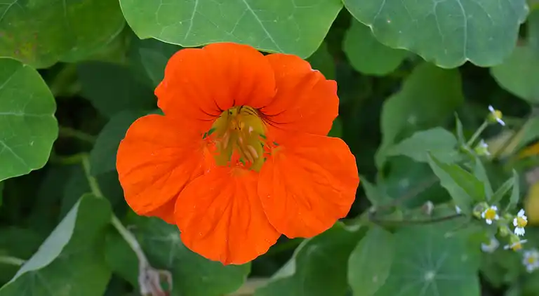 Holiday home in Raddon-et-Chapendu