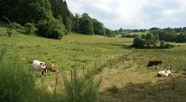 Holiday home in Faucogney-et-la-Mer