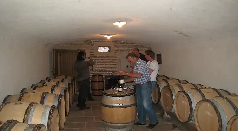 Herregård i La Chapelle-de-Guinchay