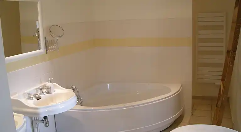 Manor house in La Chapelle-de-Guinchay