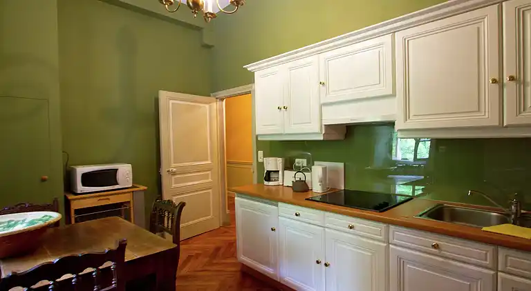 Castle in Serrières-en-Chautagne