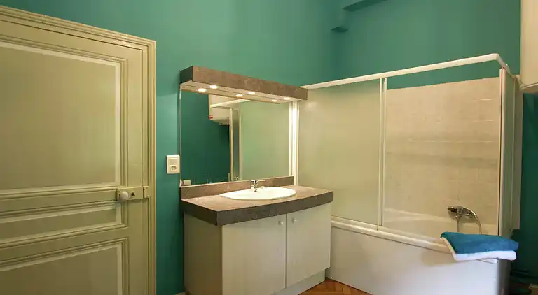 Castle in Serrières-en-Chautagne