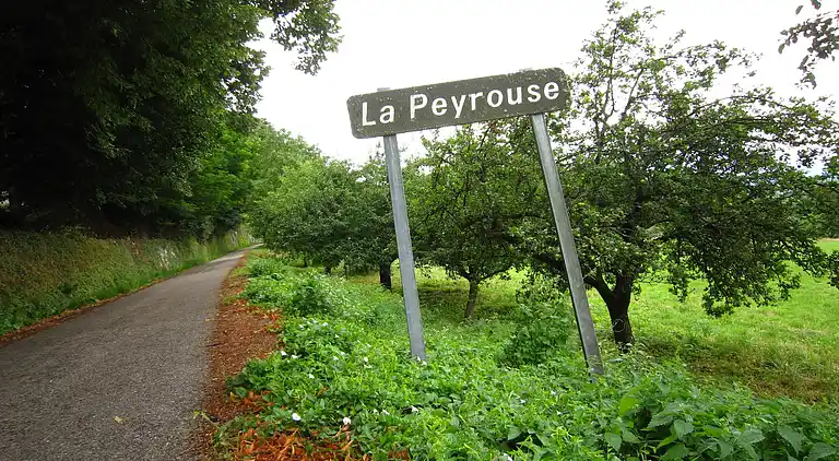 Castle in Serrières-en-Chautagne