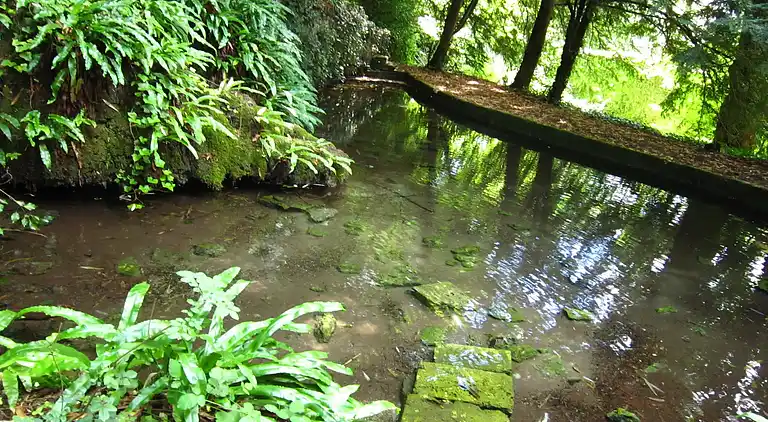 Castle in Serrières-en-Chautagne