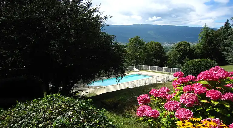 Castle in Serrières-en-Chautagne