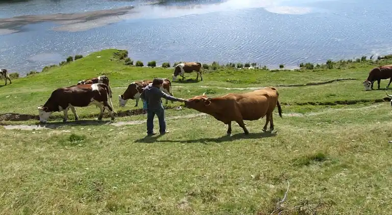 Ferienhaus in Modane