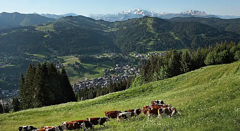 Holiday home in Les Gets